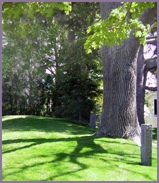 Pleasant Street Inn Rockport Bagian luar foto